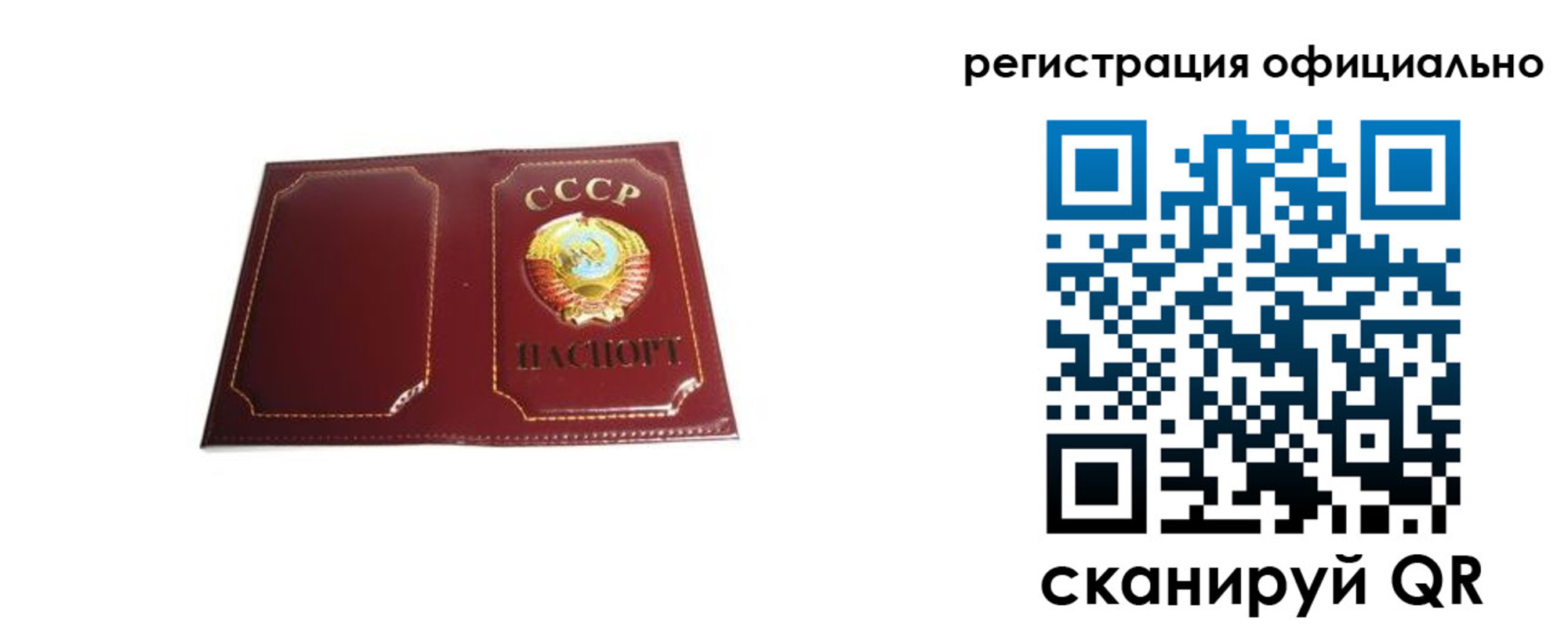 прописка в Горняке